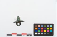 Foto von Bronzeknopf (NHMW-PRAE-024441)